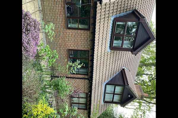 House sit in Tadley, United Kingdom