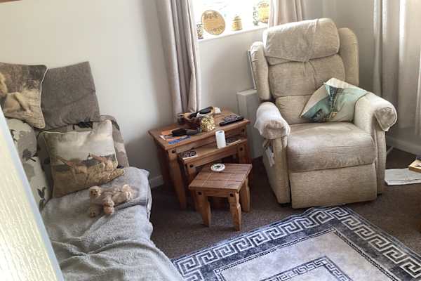 House sit in Torquay, United Kingdom