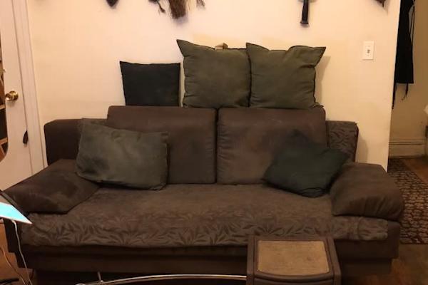 House sit in Manhattan, NY, US