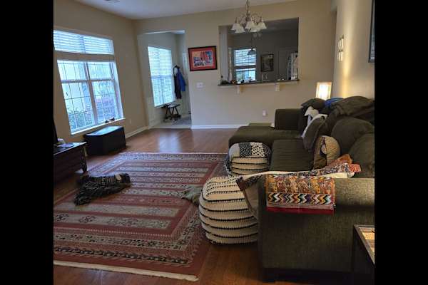 House sit in Bluffton, SC, US