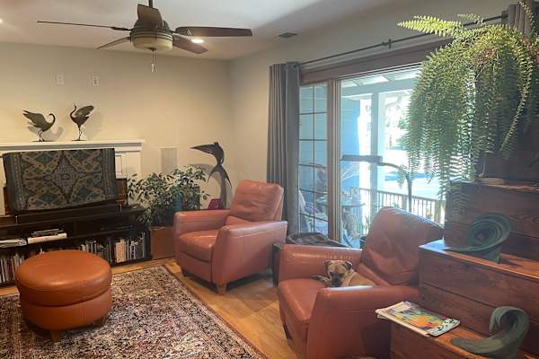 House sit in Davis, CA, US