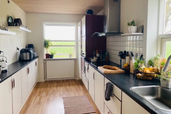 House sit in Esbjerg, Denmark