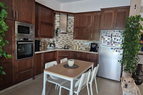 House sit in Pólis, Cyprus