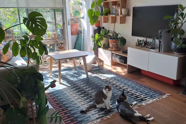 House sit in Sydney, NSW, Australia