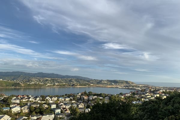 House sit in Wellington, New Zealand