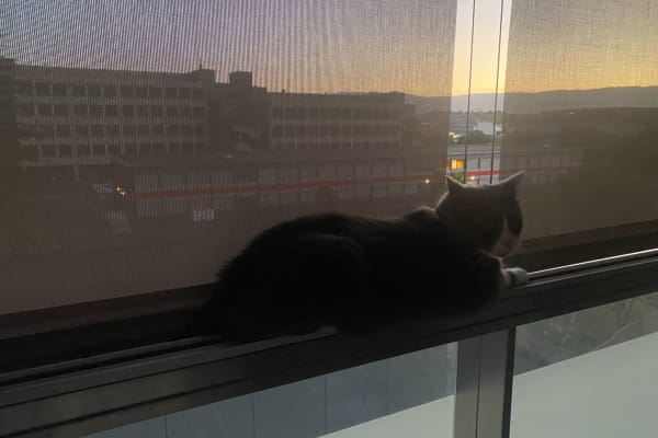 House sit in Genève, Switzerland