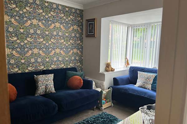 House sit in Taunton, United Kingdom
