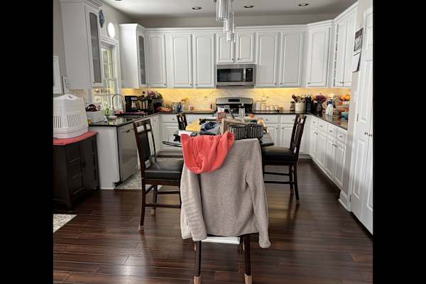 House sit in Alpharetta, GA, US