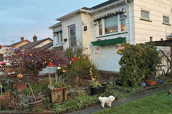 House sit in Victoria, BC, Canada