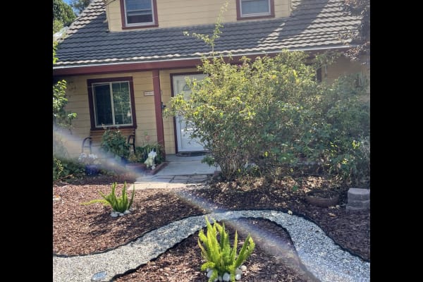 House sit in El Sobrante, CA, US