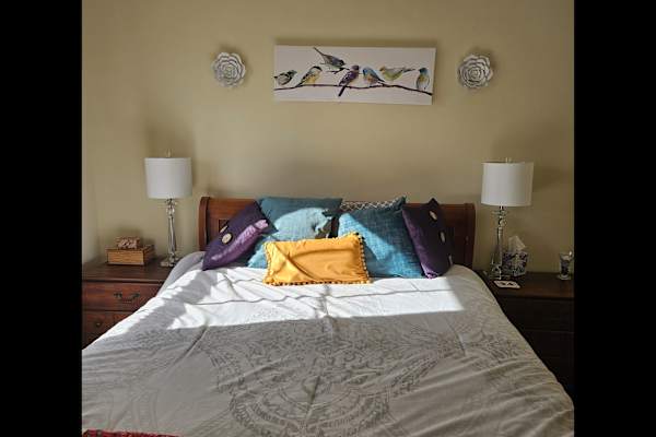 House sit in Albuquerque, NM, US