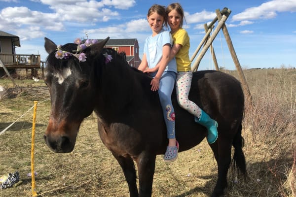 House sit in Pincher Creek, AB, Canada