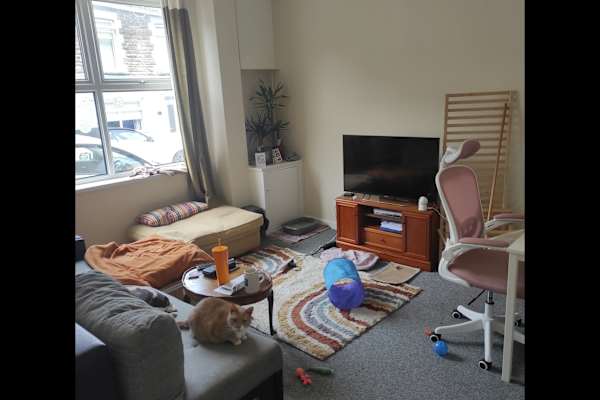 House sit in Pontypridd, United Kingdom