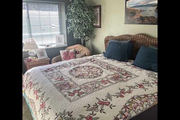 House sit in Reno, NV, US