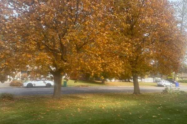 House sit in Coeur d'Alene, ID, US