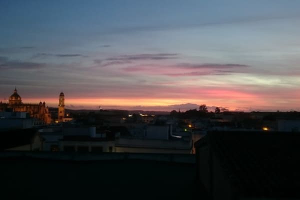 House sit in Jerez de la Frontera, Spain