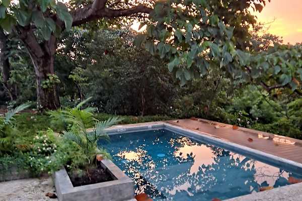 House sit in Nosara, Costa Rica