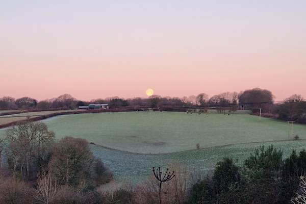 House sit in Shaftesbury, United Kingdom