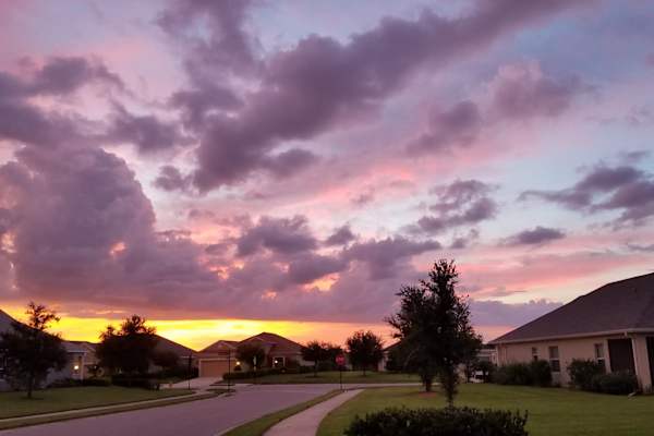 House sit in Lakewood Ranch, FL, US