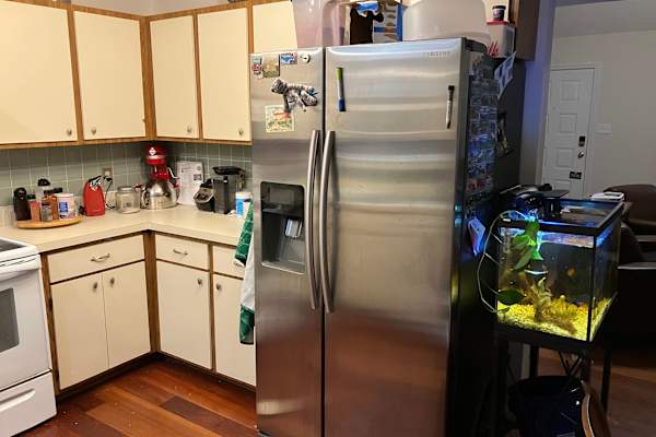 House sit in Williamsburg, VA, US