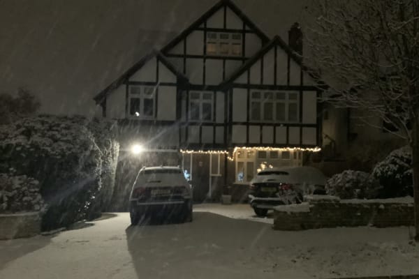 House sit in Beckenham, United Kingdom