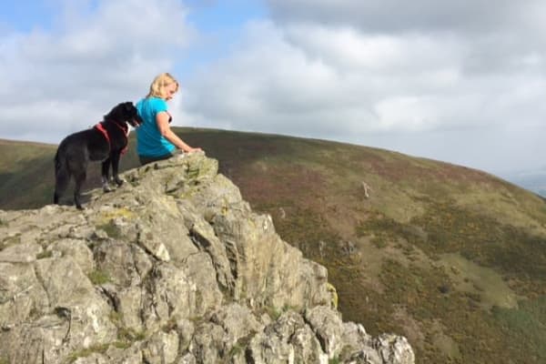 House sit in Bridport, United Kingdom