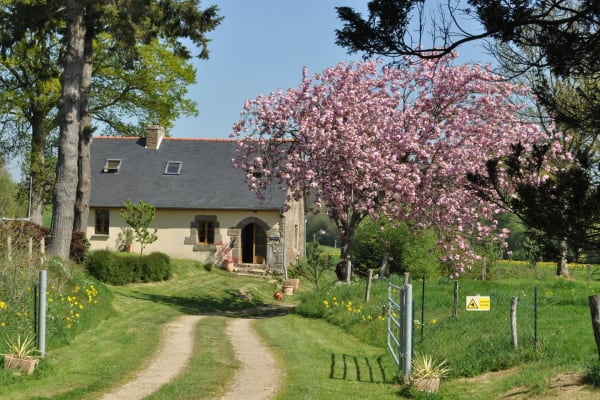 House sit in Fougerolles-du-Plessis, France