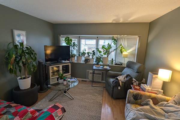 House sit in West Kelowna, BC, Canada