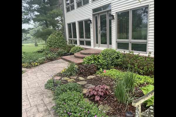 House sit in Lexington-Fayette, KY, US