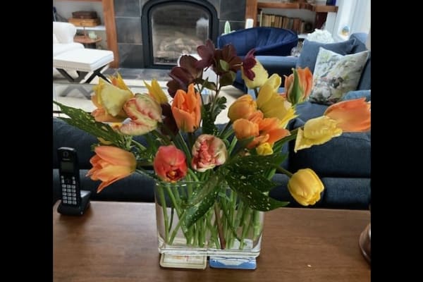 House sit in Parksville, BC, Canada