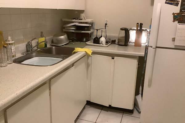 House sit in Toronto, ON, Canada