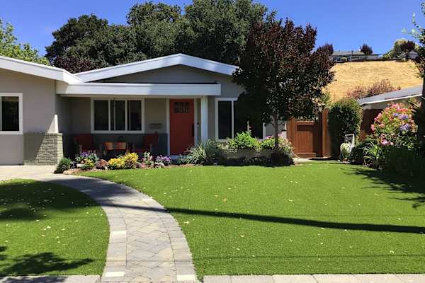 House sit in Novato, CA, US