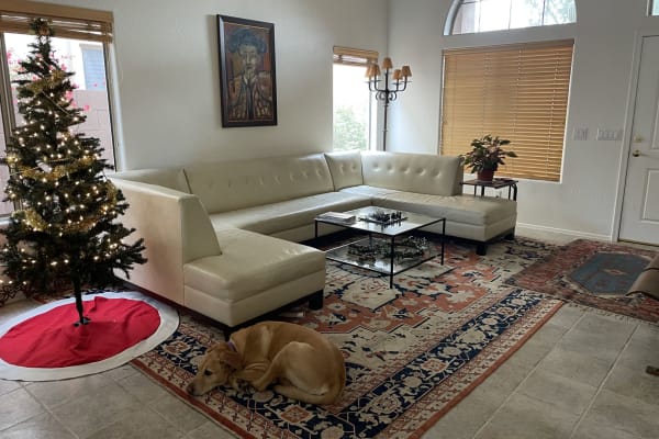 House sit in McDowell Mountain Ranch, AZ, US