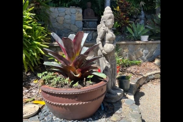 House sit in Airlie Beach, QLD, Australia