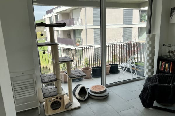 House sit in Brugg, Switzerland