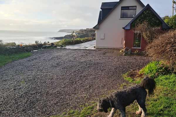 House sit in Crosshaven, Ireland