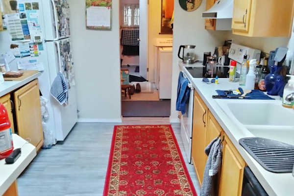 House sit in Port Angeles, WA, US