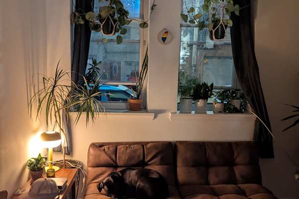 House sit in Philadelphia, PA, US