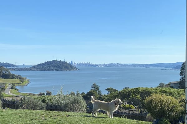 House sit in Tiburon, CA, US