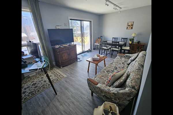 House sit in Toronto, ON, Canada