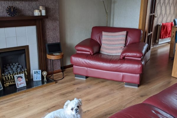 House sit in Bathgate, United Kingdom