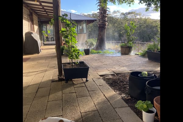 House sit in Perth, WA, Australia