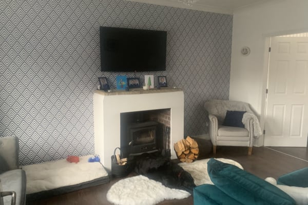 House sit in Blackpool, United Kingdom