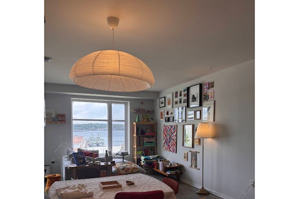 House sit in Halifax, NS, Canada