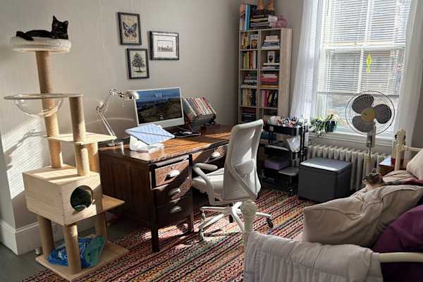 House sit in Salem, MA, US