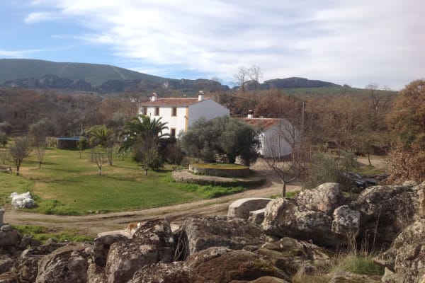 House sit in Casiñas Bajas, Spain