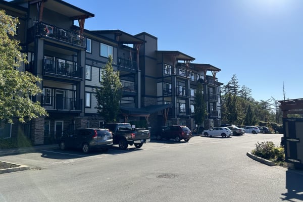 House sit in Victoria, BC, Canada