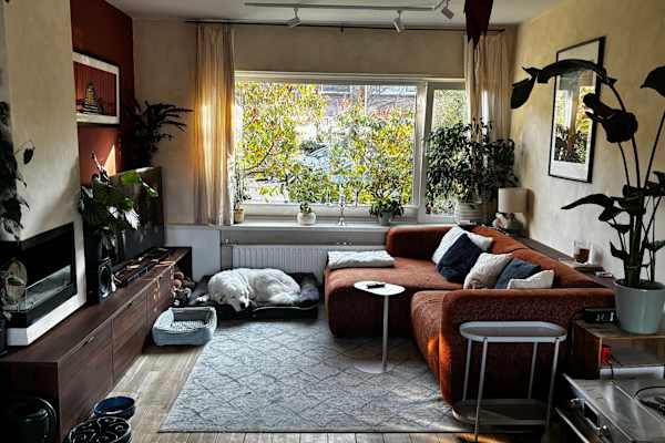 House sit in Haarlem, Netherlands