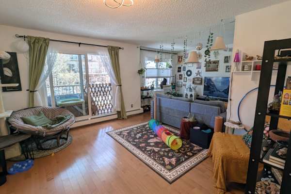 House sit in Calgary, AB, Canada