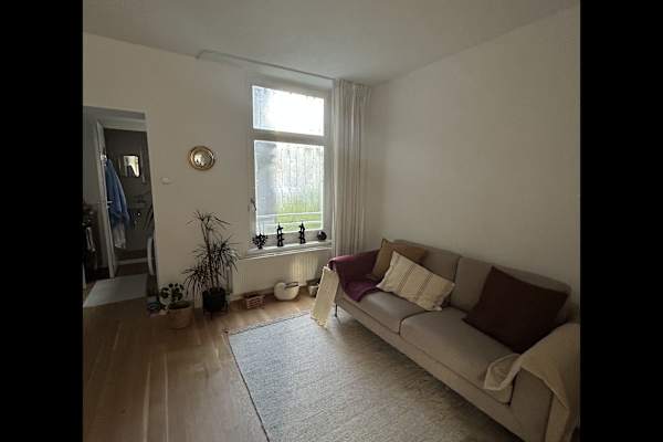 House sit in Amsterdam, Netherlands